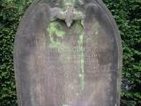 image of grave number 31534